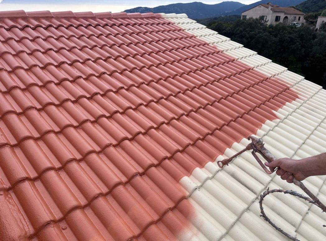 Peinture de toiture