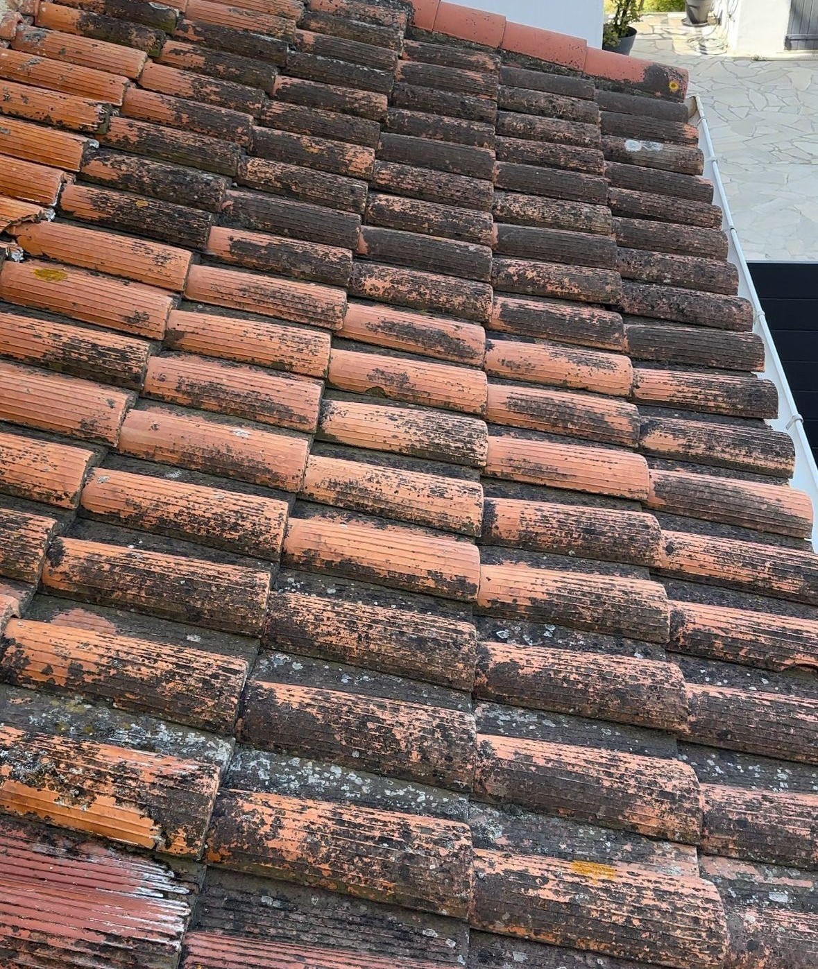 WhatsApp Image 2025-11-25 at 18.21.50